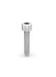 Socket Head Bolt M8x55