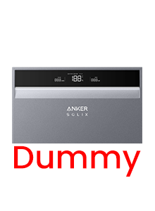 ANK_X1_HK_S_DUMMY
