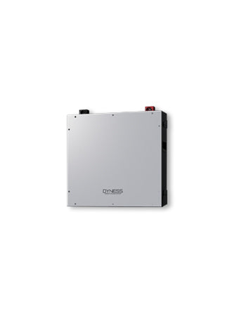 Dyness DL5.0C Pro